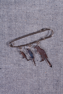 Safety Pin Magpie Family